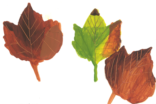 Autumnal Leaves