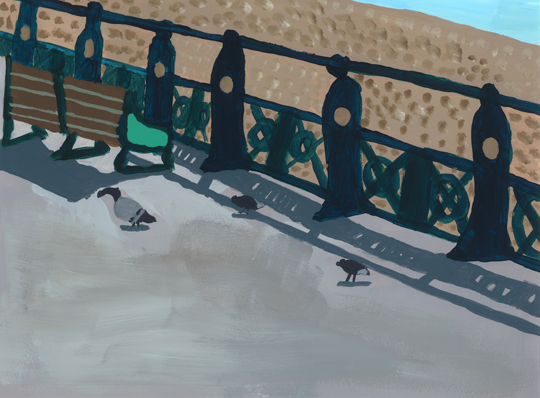 Pigeons along Brighton Seafront
