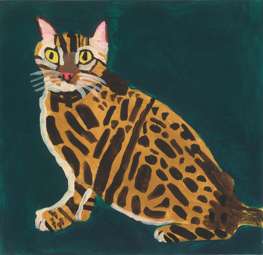 Tabby Cat